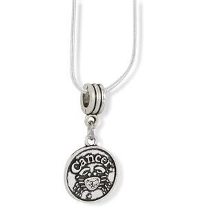 Cancer Astrology Horoscope Charm Necklace Pendant
